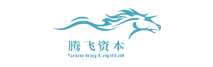 腾飞资本
