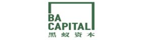 黑蚁资本