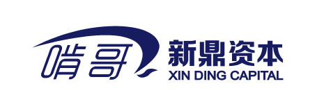 新鼎资本