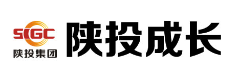 陕投成长