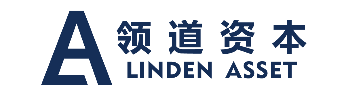 领道资本